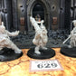 Pirate Maneater Ogor Mawtribes + 2 More #629 AoS  Warhammer 40k