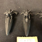 3x Windriders #579 Aeldari Warhammer 40k