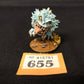 Giant Squig #655 VERY Well Painted Gloomspite Gitz Orks AOS Warhammer 40k
