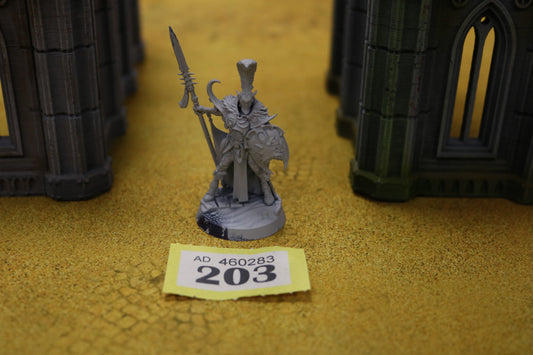 Vasillac the Gifted #203 Hedonites of Slaanesh Warhammer 40k