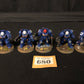 5x Primaris Terminator Squad #680 Well Painted Space Marines Warhammer 40k