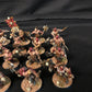 20x Bloodreavers #746 VERY Well Painted Blades of Khorne AOS Warhammer 40k