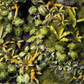 Jungle Floor Basing Box