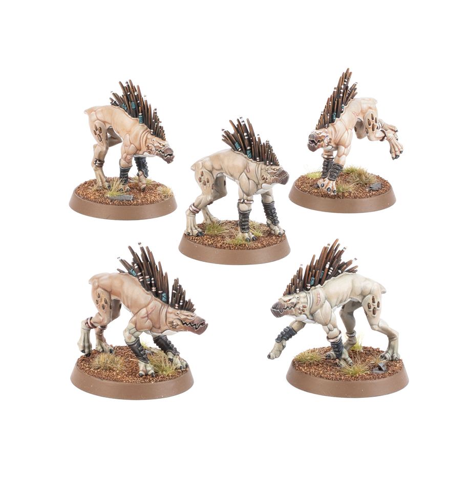 Tau Empire - Kroot Hounds