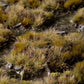 Marshland Set