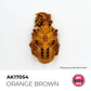AK Quick Gen Color - Orange Brown