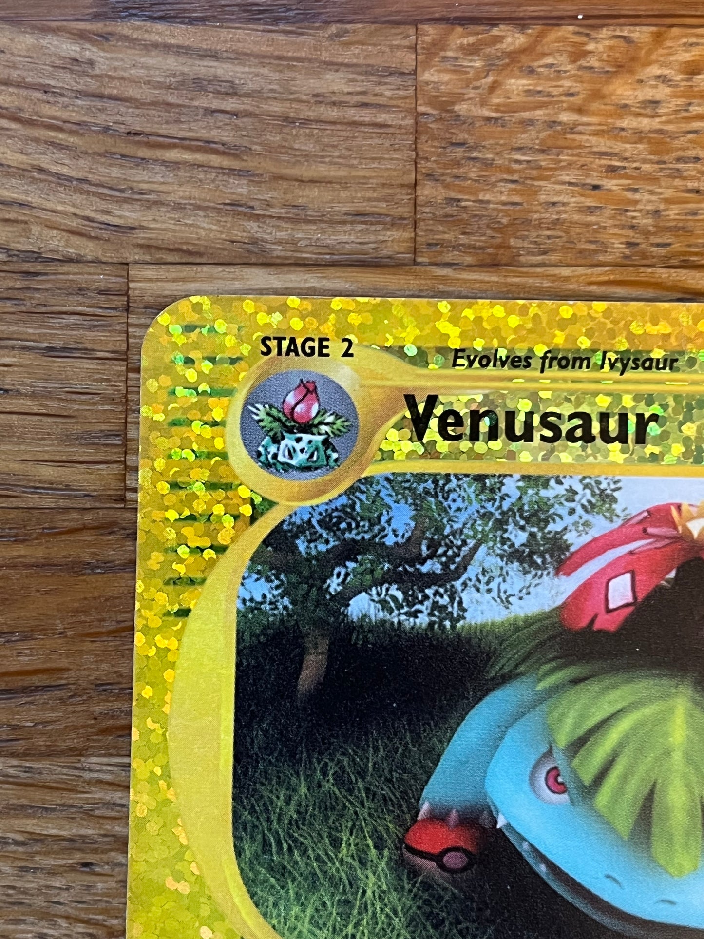 Venusaur 4/12 Expedition Box Topper NM Single Pokémon Card
