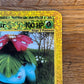 Venusaur 4/12 Expedition Box Topper NM Single Pokémon Card