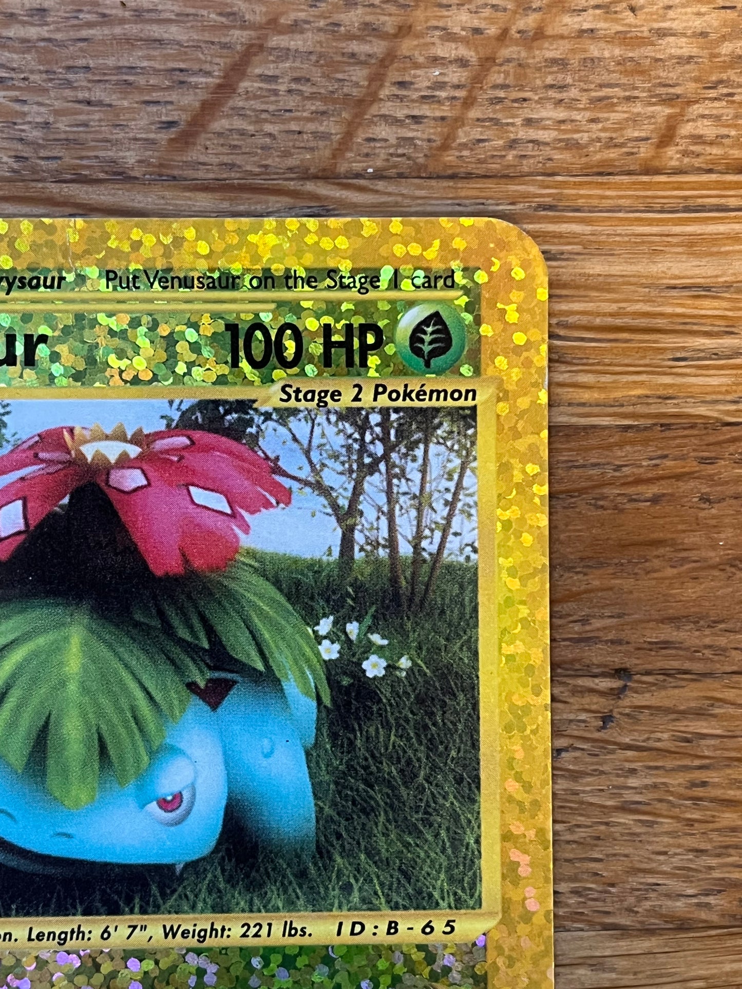 Venusaur 4/12 Expedition Box Topper NM Single Pokémon Card