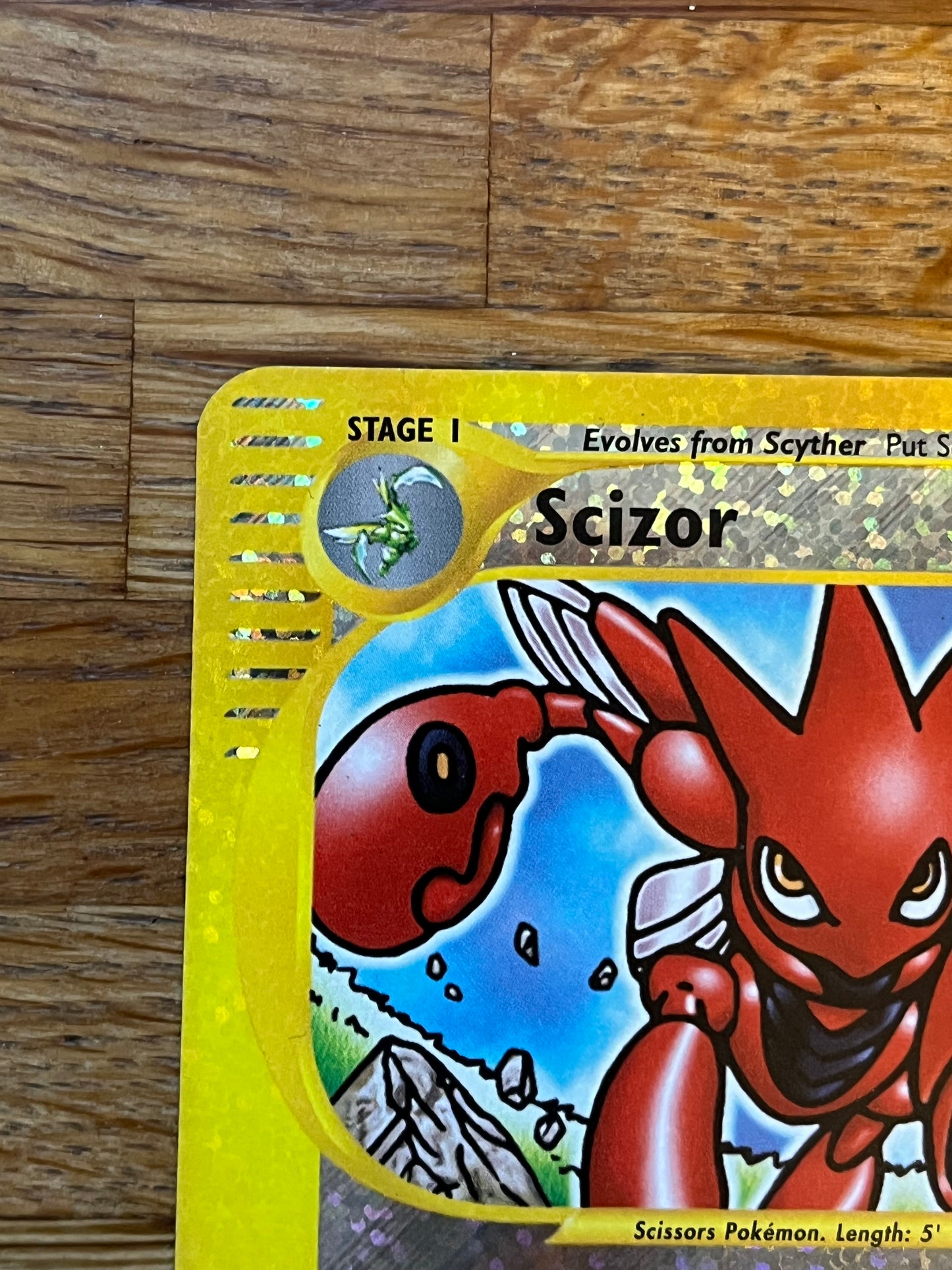 Scizor 7/12 Expedition Box Topper Promo NM Single Pokémon Card
