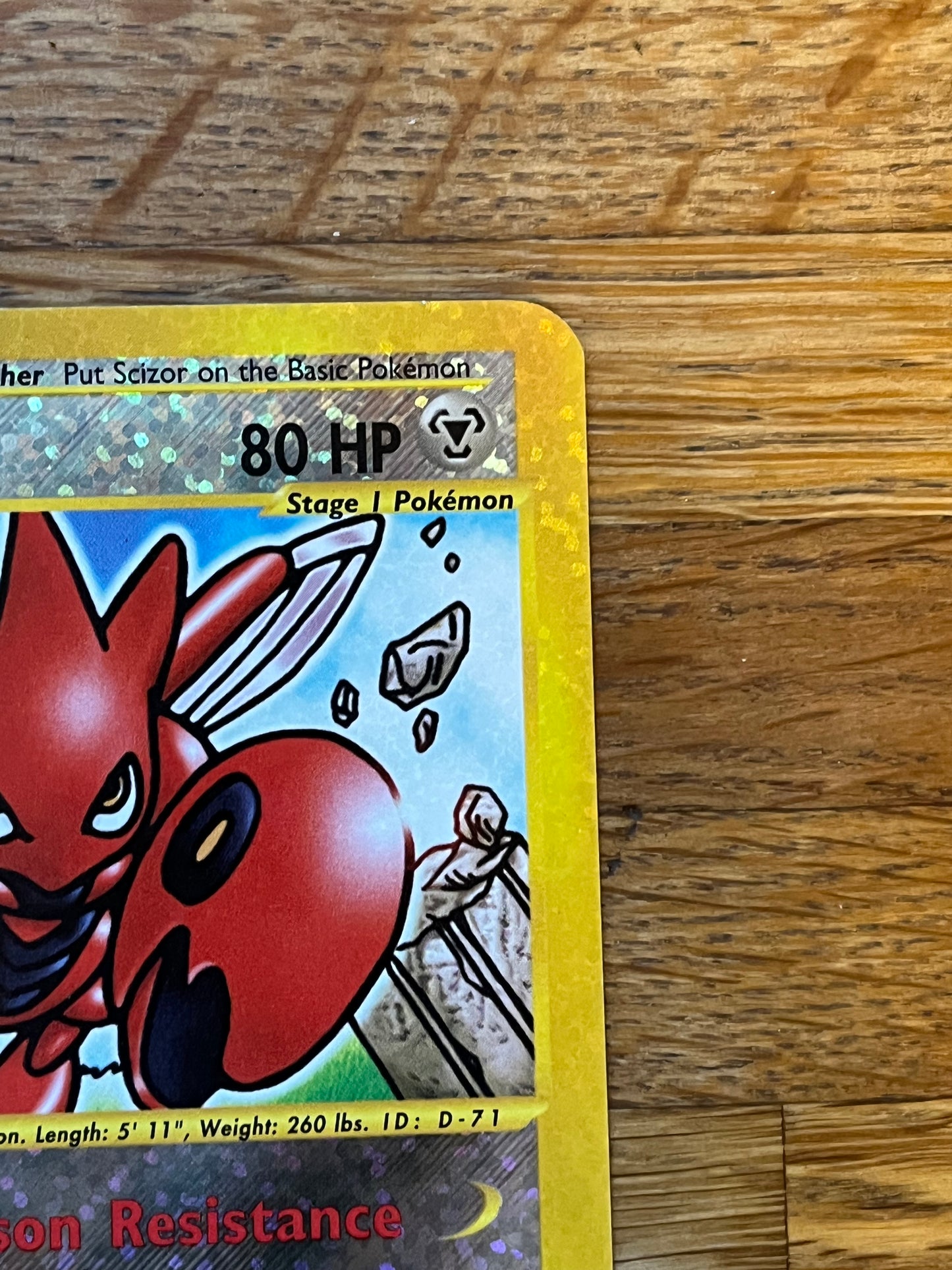 Scizor 7/12 Expedition Box Topper Promo NM Single Pokémon Card