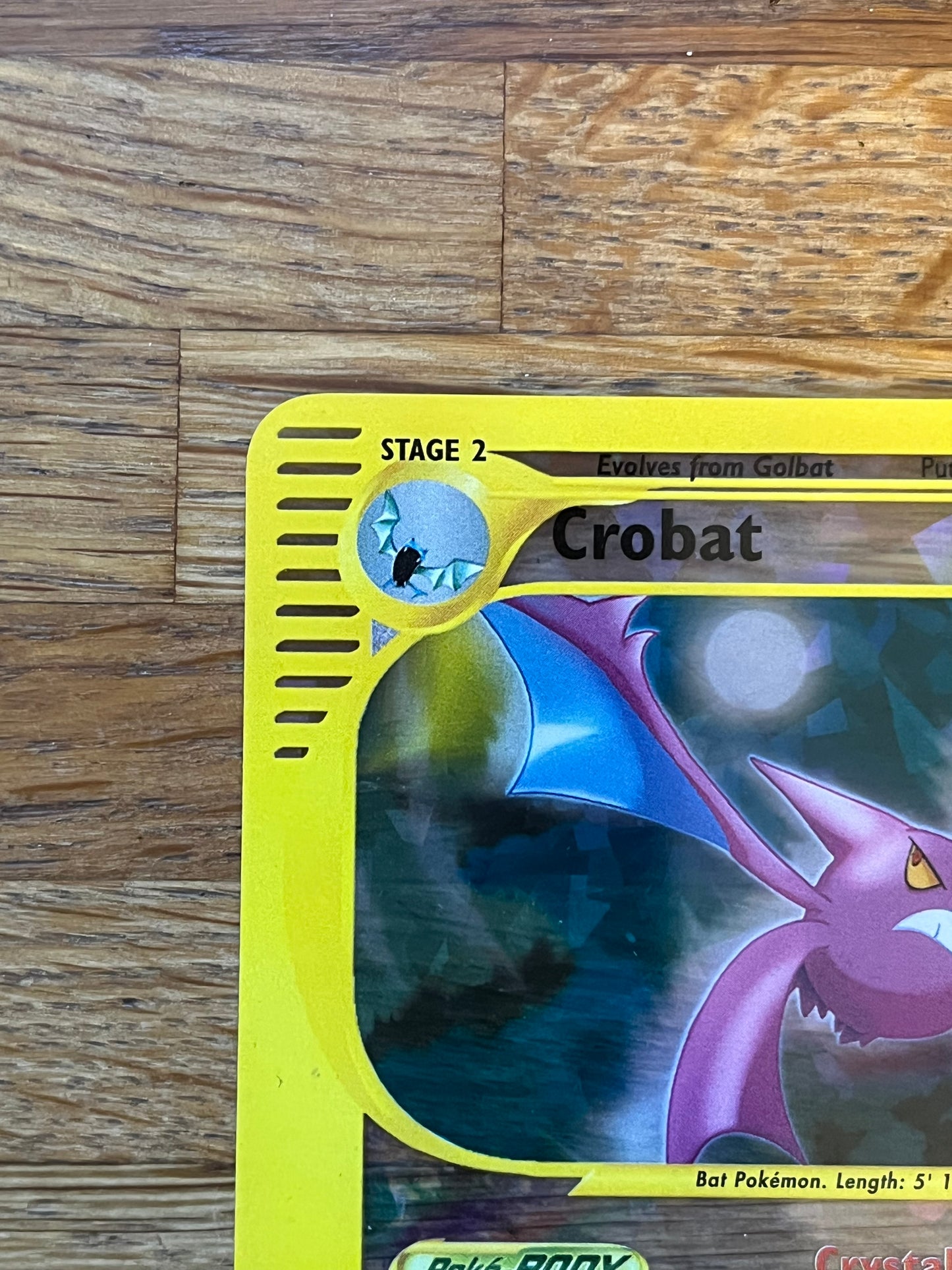 Crobat Crystal 10/12 Skyridge Box Topper Promo NM Single Pokémon Card