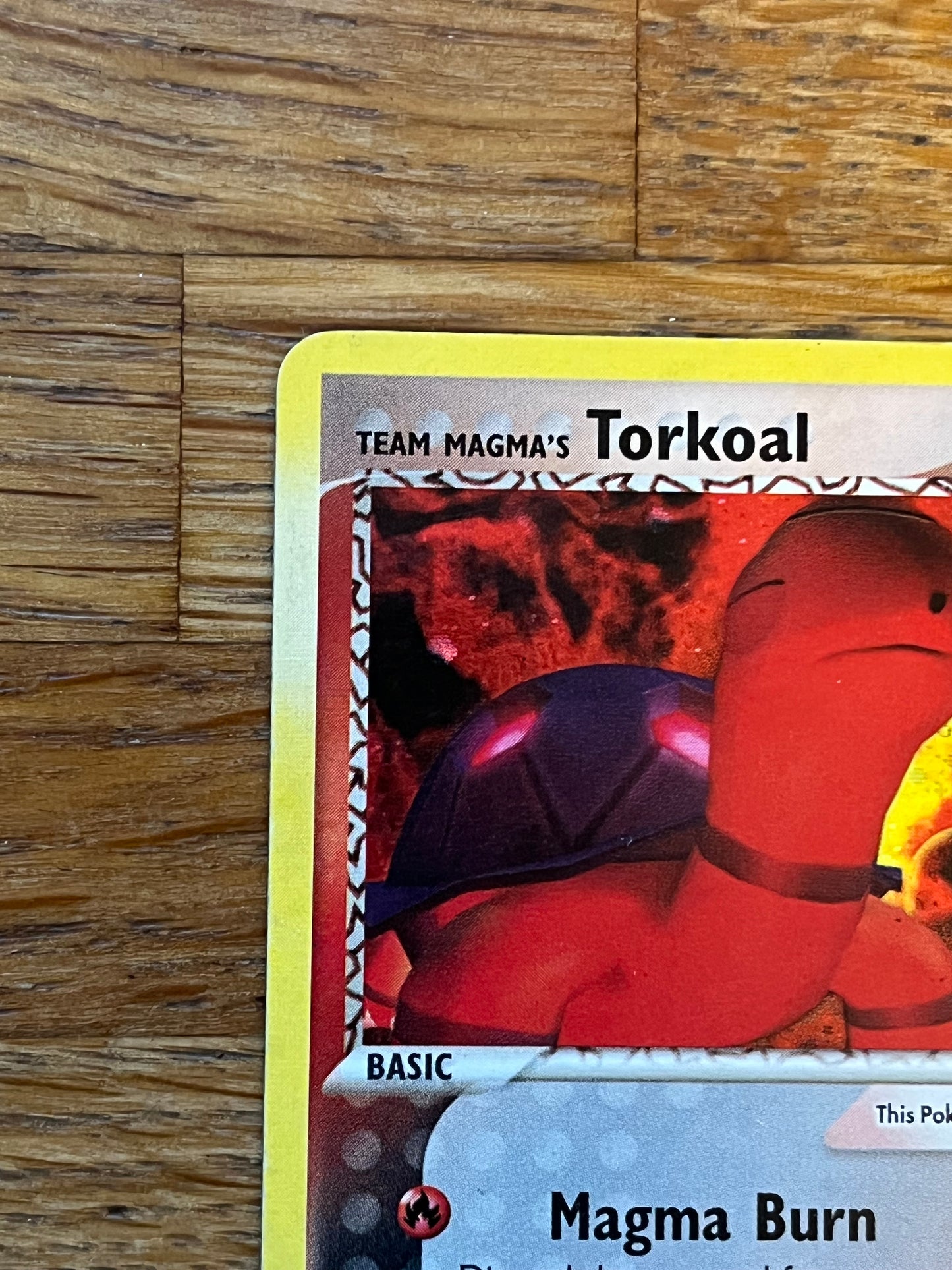 Team Magma's Torkoal 12/95 Team Magma & Team Aqua NM Single Pokémon Card