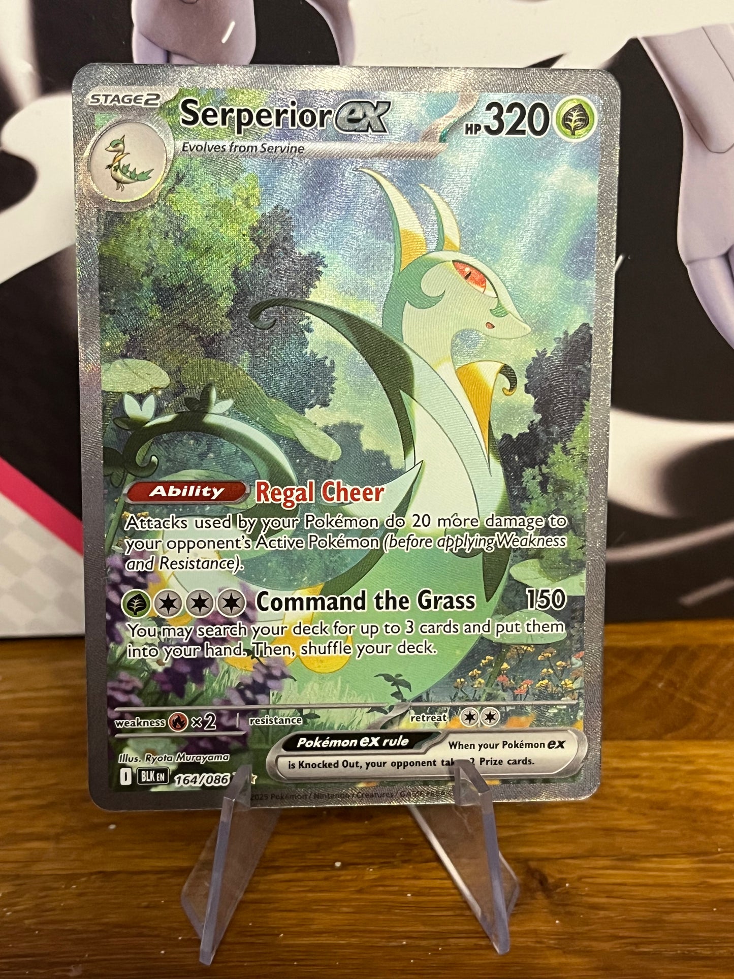 Serperior EX 164/086 Black Bolt NM Single Pokémon Card