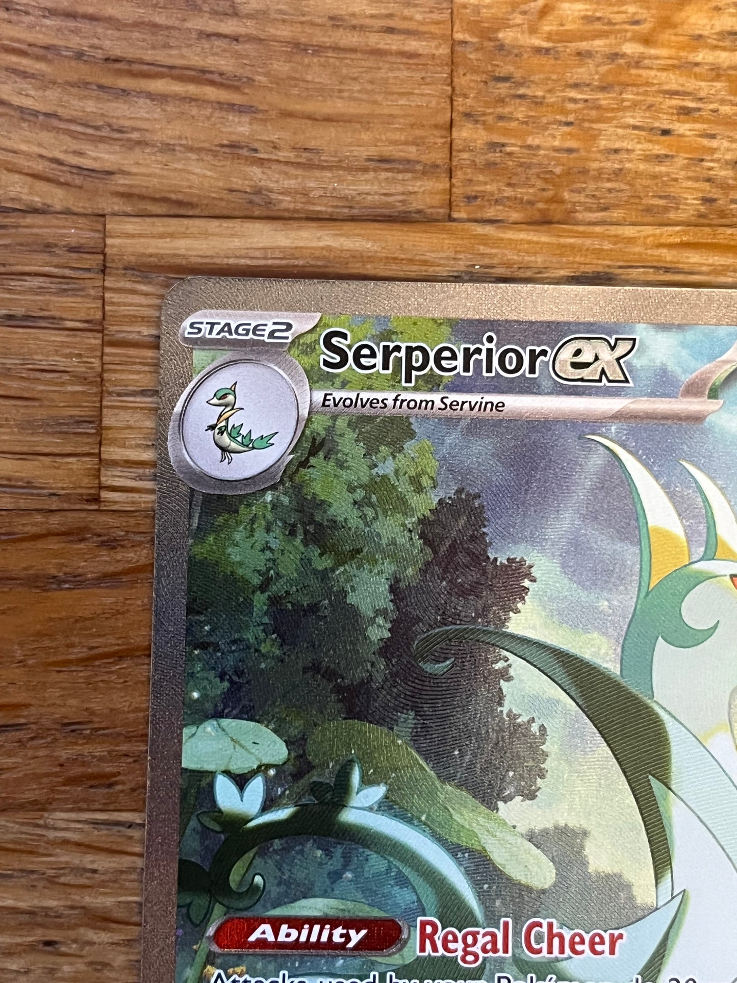Serperior EX 164/086 Black Bolt NM Single Pokémon Card