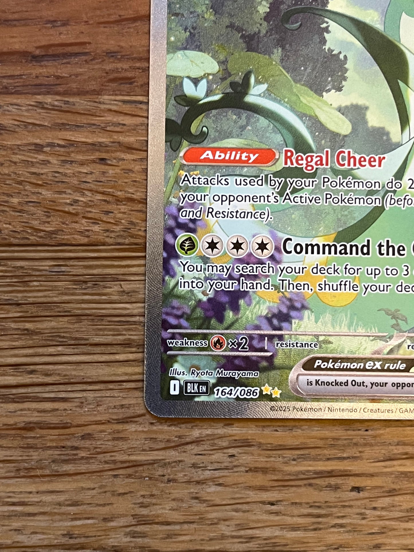 Serperior EX 164/086 Black Bolt NM Single Pokémon Card
