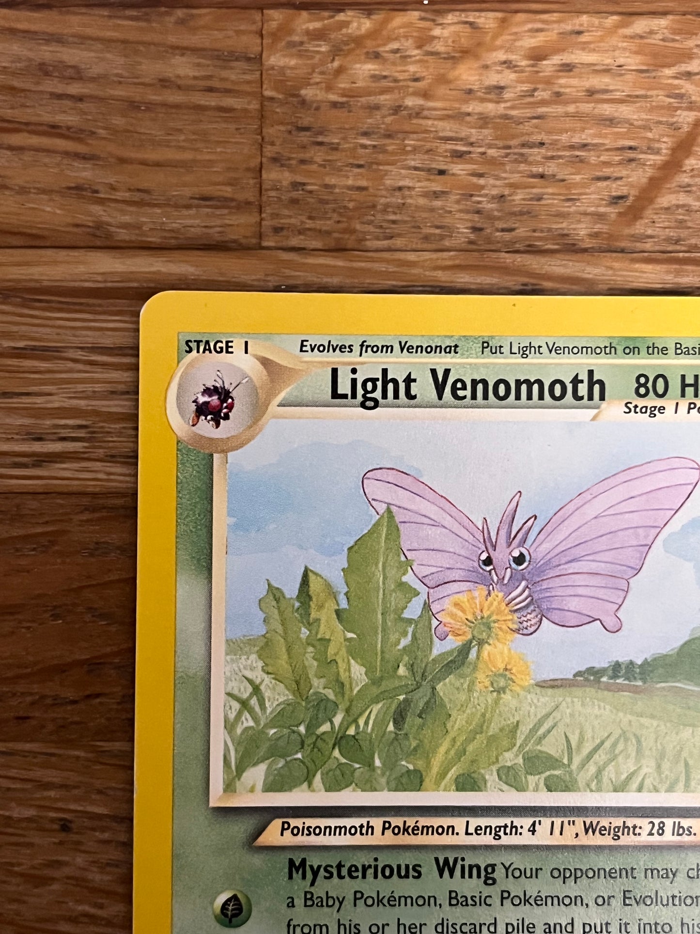 Light Venomoth 53/105 Neo Destiny NM Single Pokémon Card