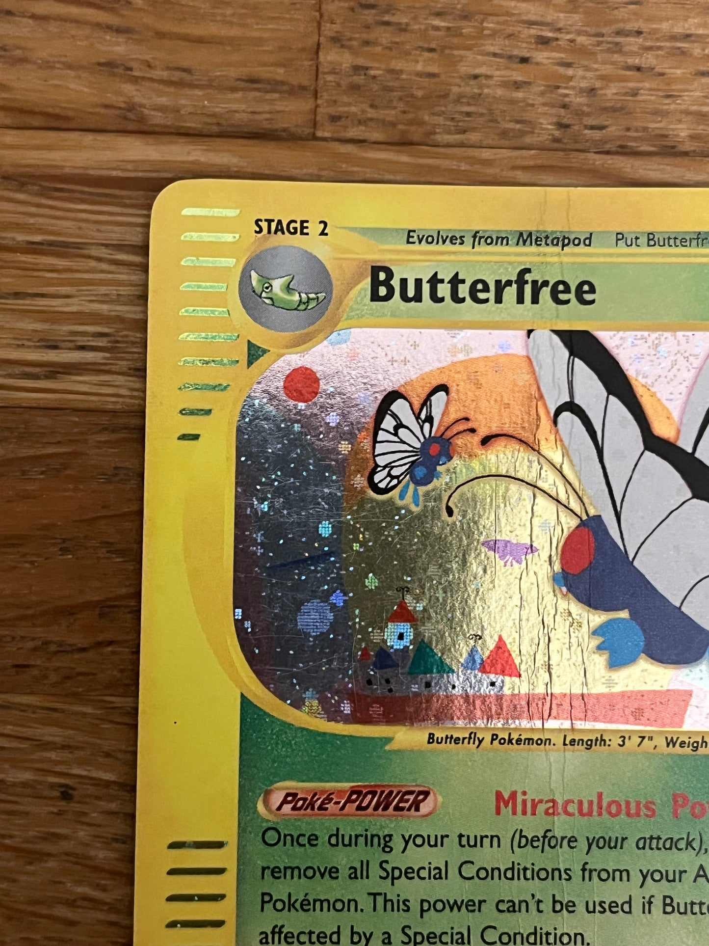 Butterfree Holo 5/165 Expedition NM Single Pokémon Card