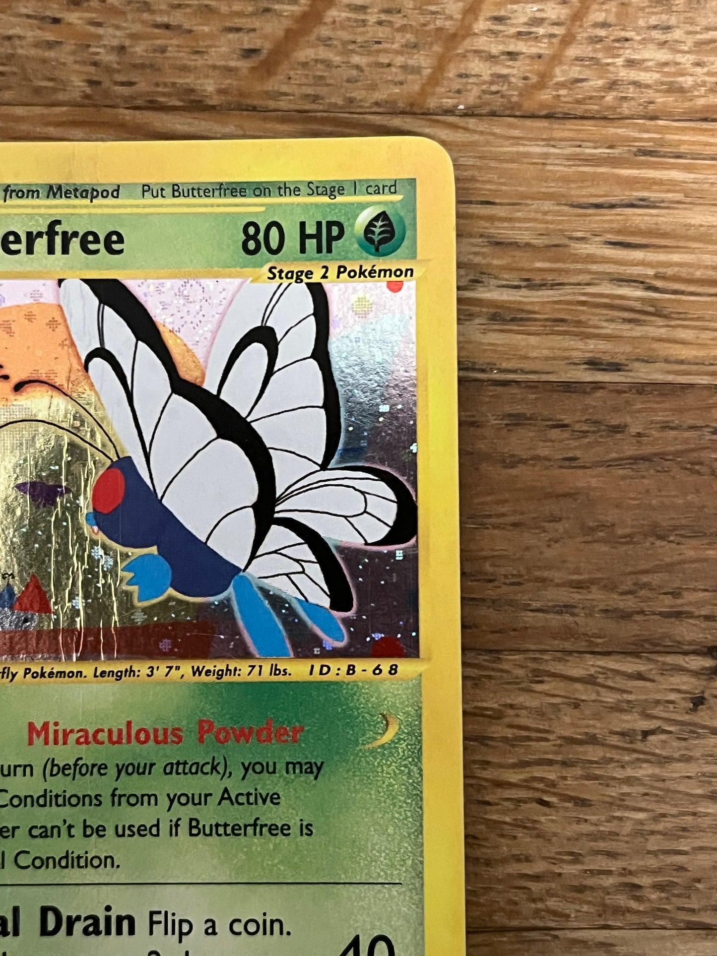 Butterfree Holo 5/165 Expedition NM Single Pokémon Card