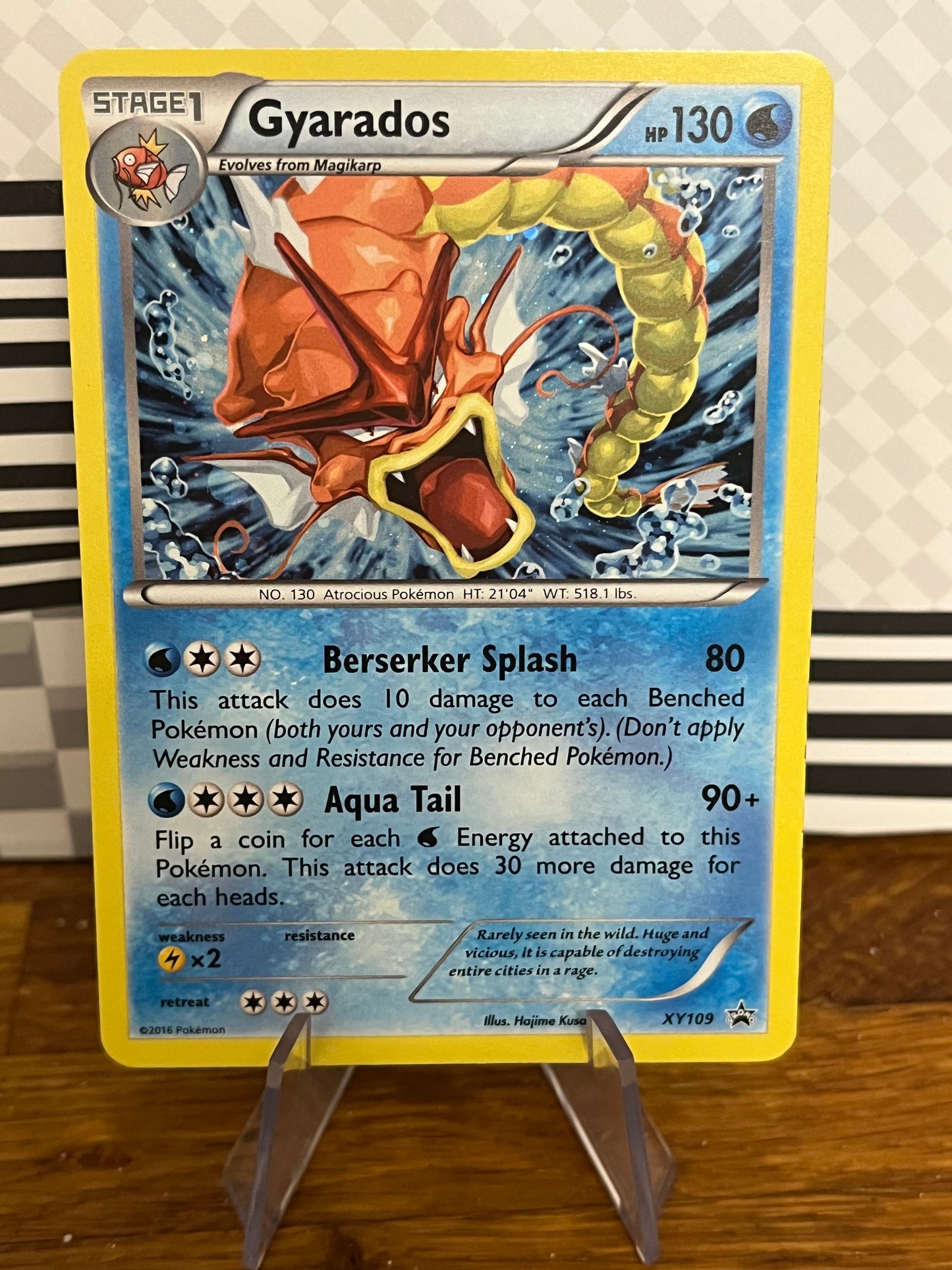 Gyarados XY109 Black Star Promo NM Single Pokémon Card