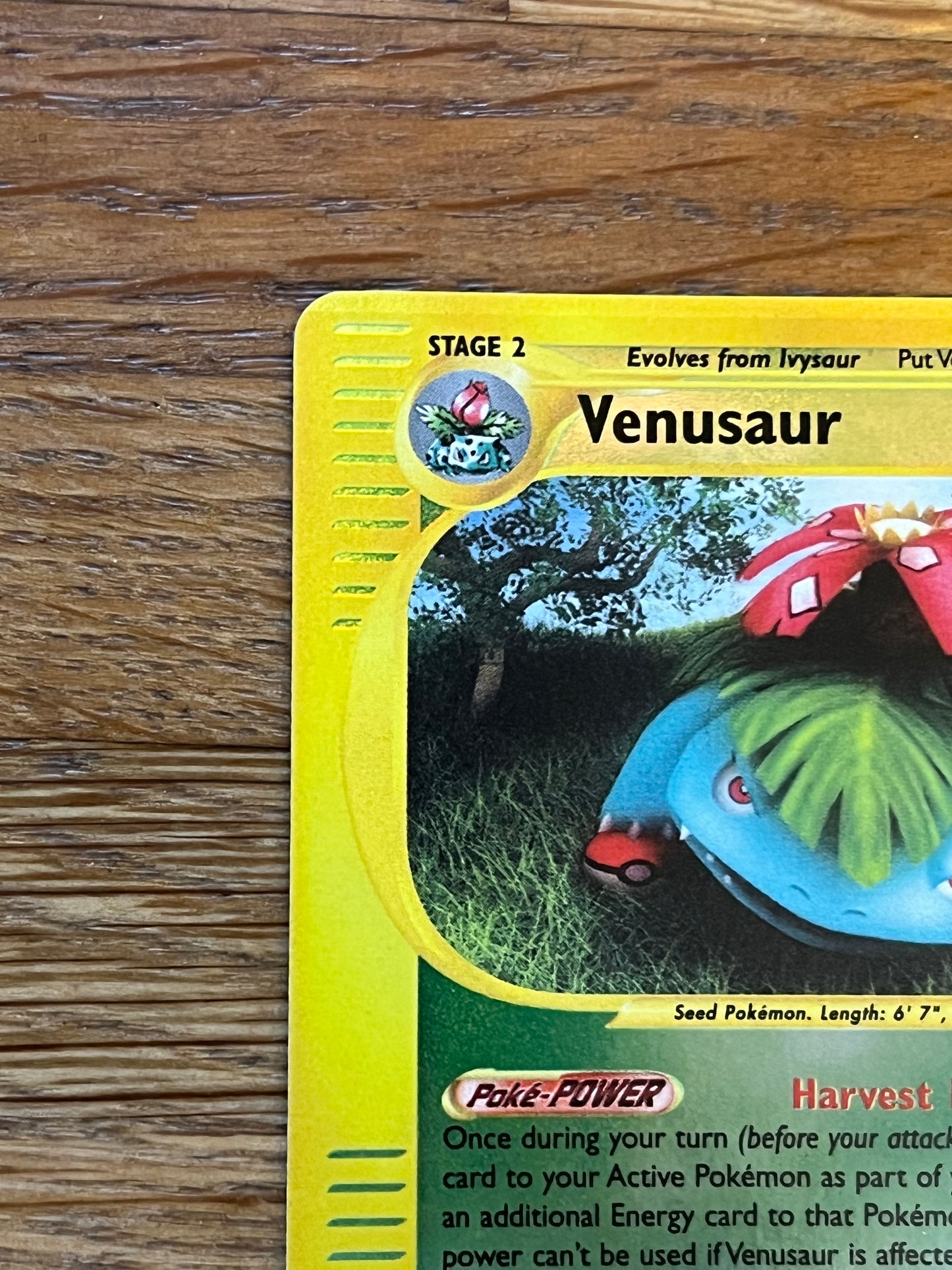 Venusaur Reverse Holo 30/165 Expedition NM Single Pokemon Card