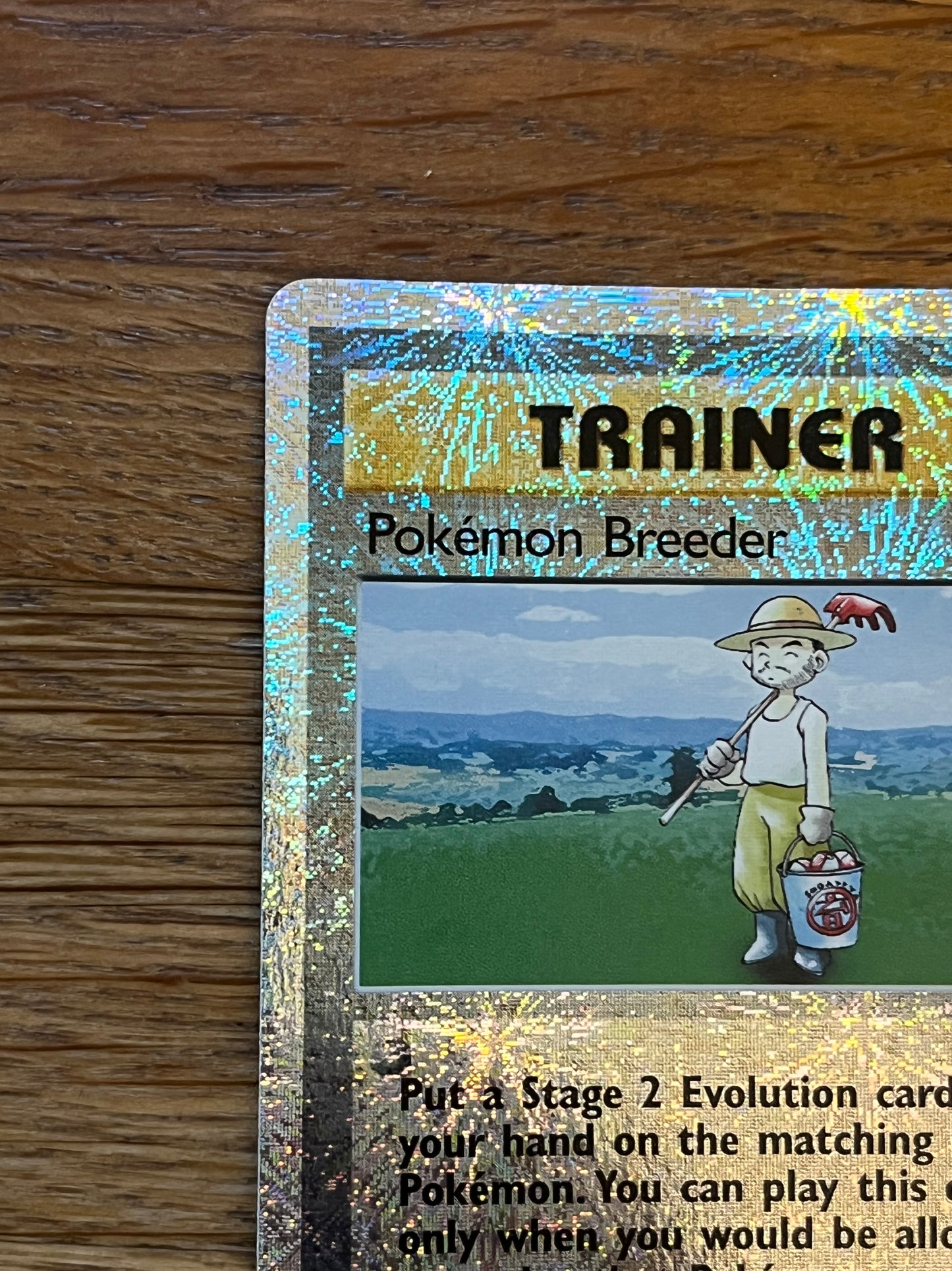 Pokemon Breeder Reverse Holo 102/110 Legendary Collection NM Single Pokemon Card