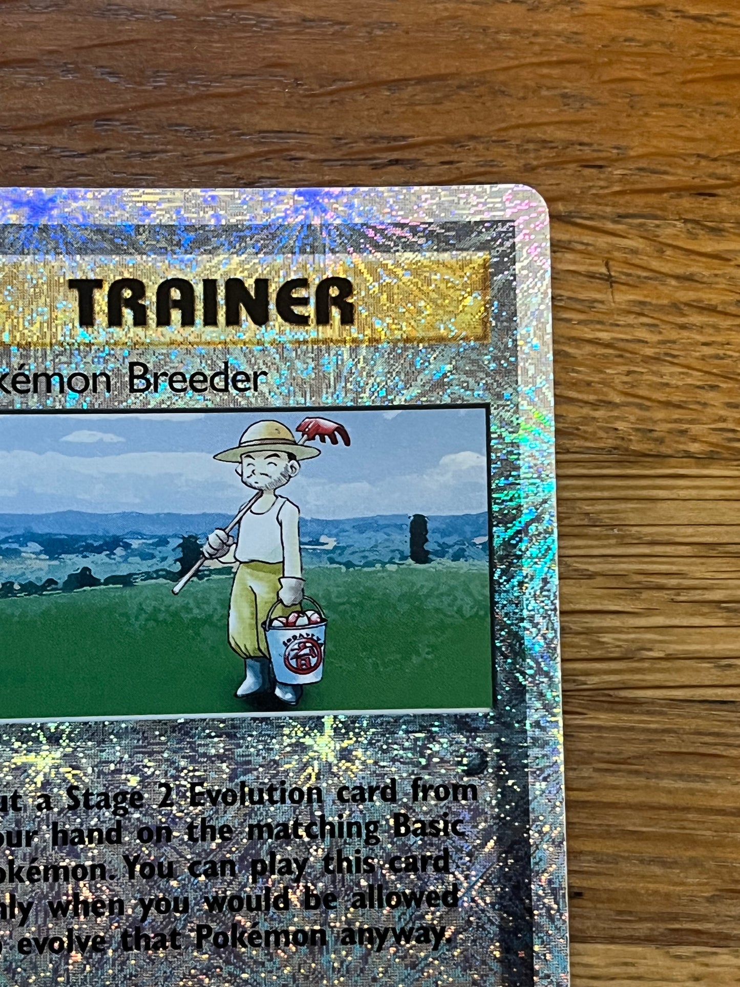 Pokemon Breeder Reverse Holo 102/110 Legendary Collection NM Single Pokemon Card