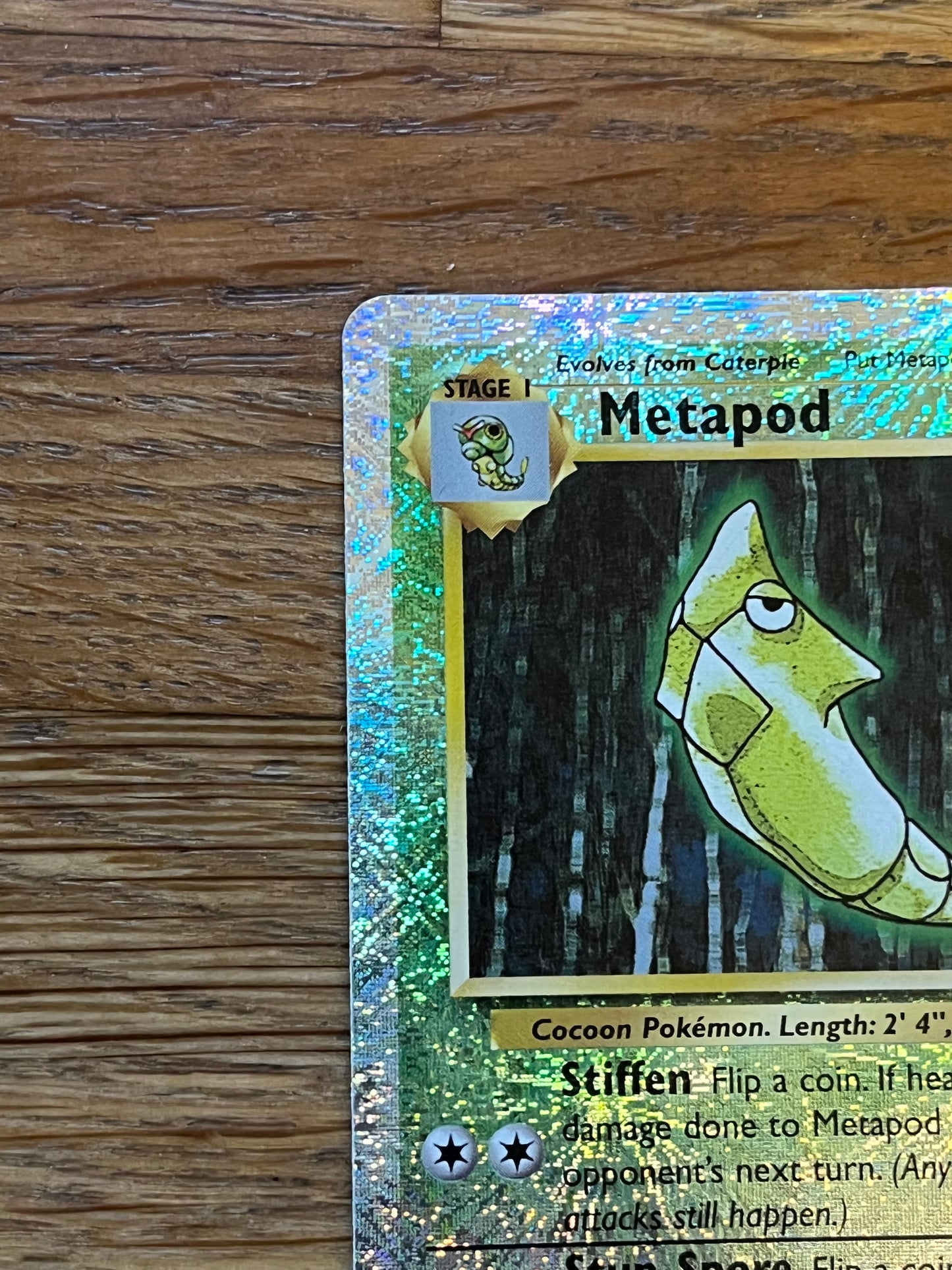Metapod Reverse Holo 54/110 Legendary Collection NM Single Pokemon Card