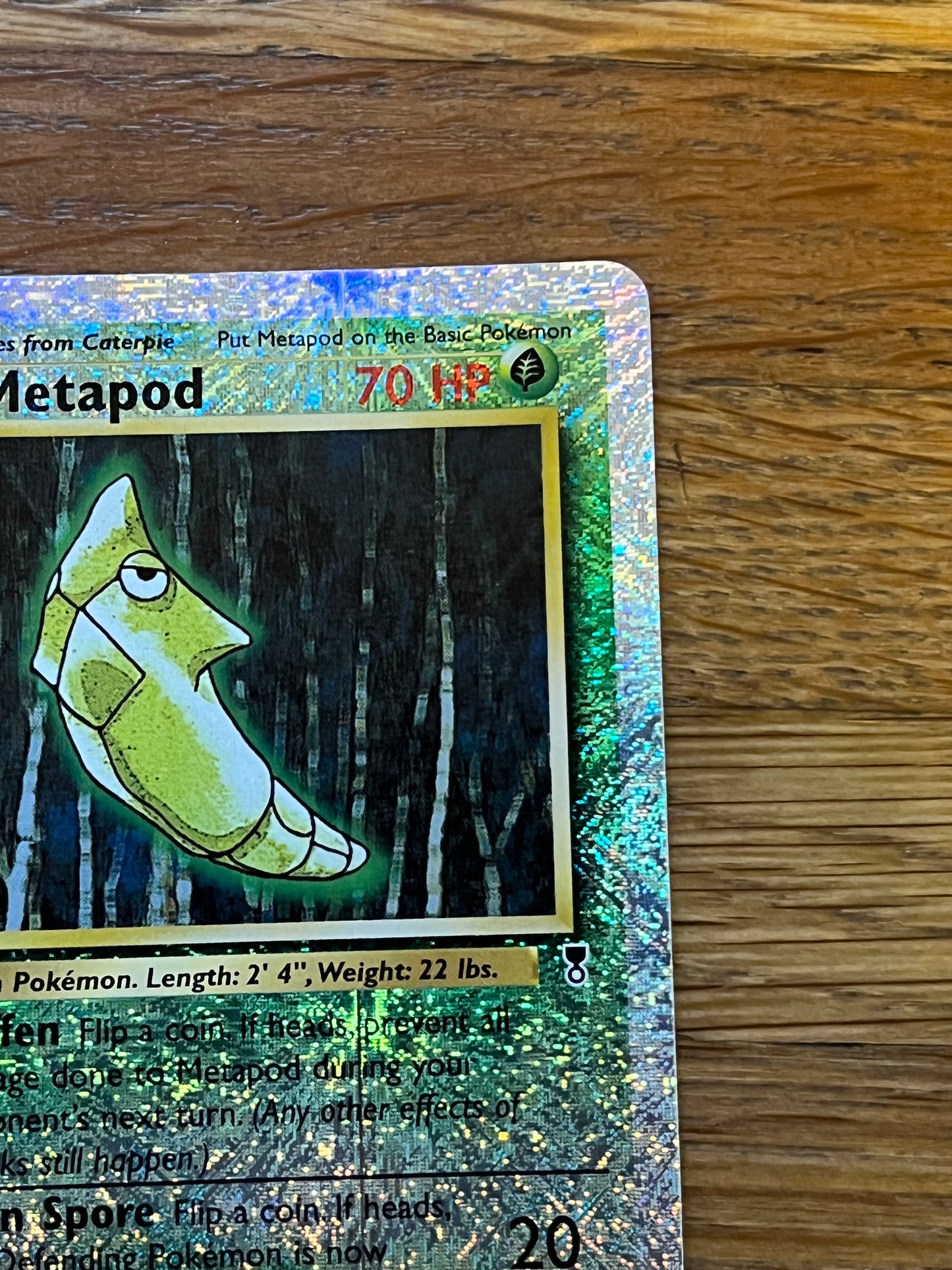 Metapod Reverse Holo 54/110 Legendary Collection NM Single Pokemon Card