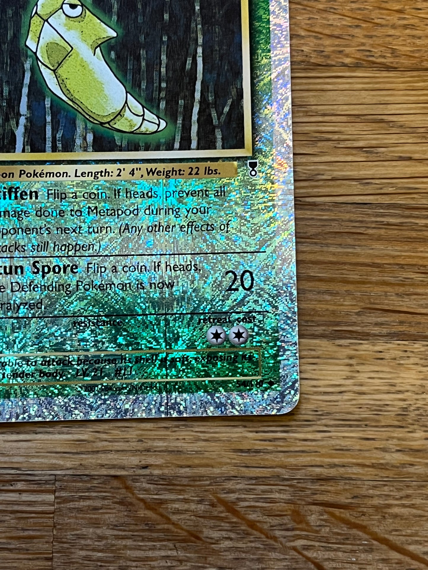 Metapod Reverse Holo 54/110 Legendary Collection NM Single Pokemon Card