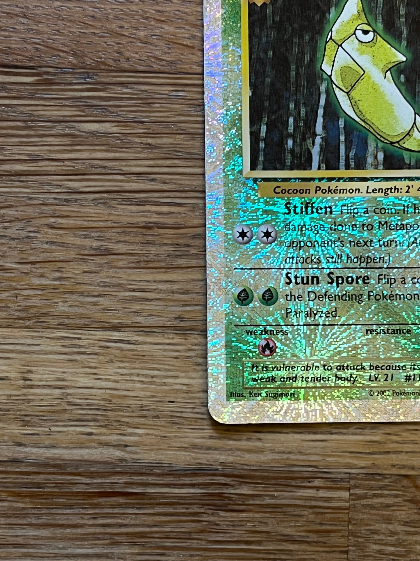 Metapod Reverse Holo 54/110 Legendary Collection NM Single Pokemon Card