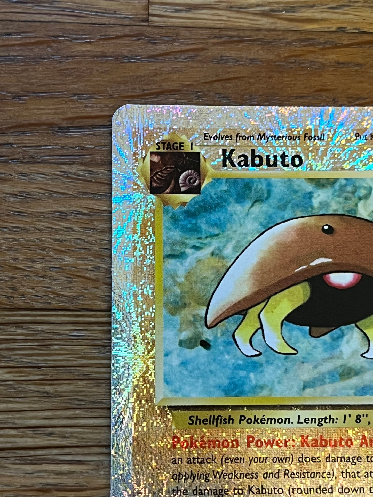 Kabuto Reverse Holo 48/110 Legendary Collection NM Single Pokemon Card
