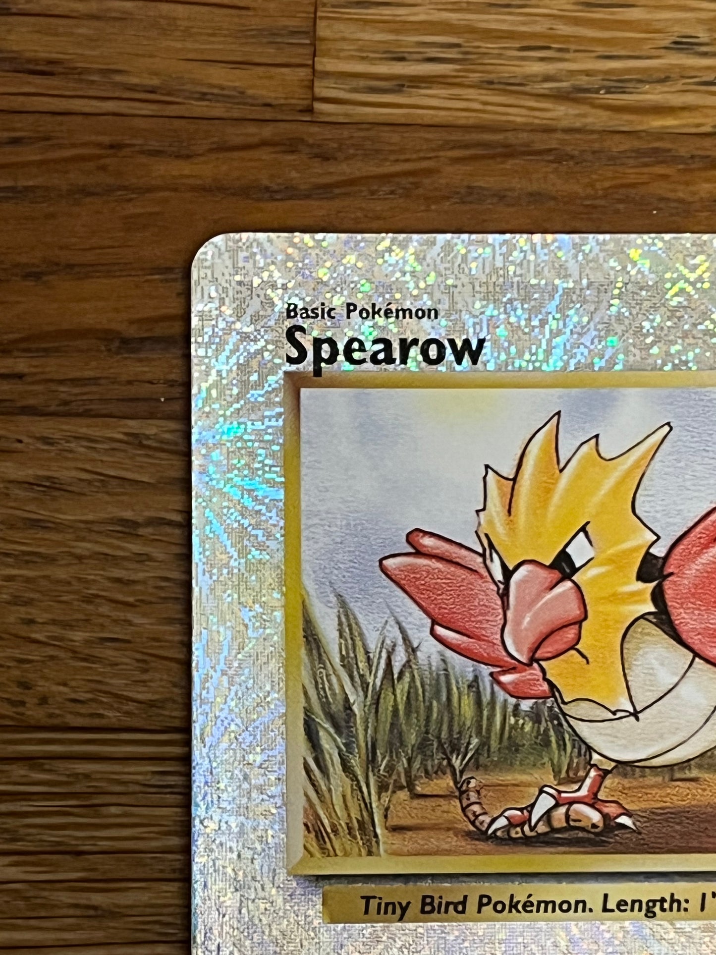Spearow Reverse Holo 94/110 Legendary Collection NM Single Pokemon Card