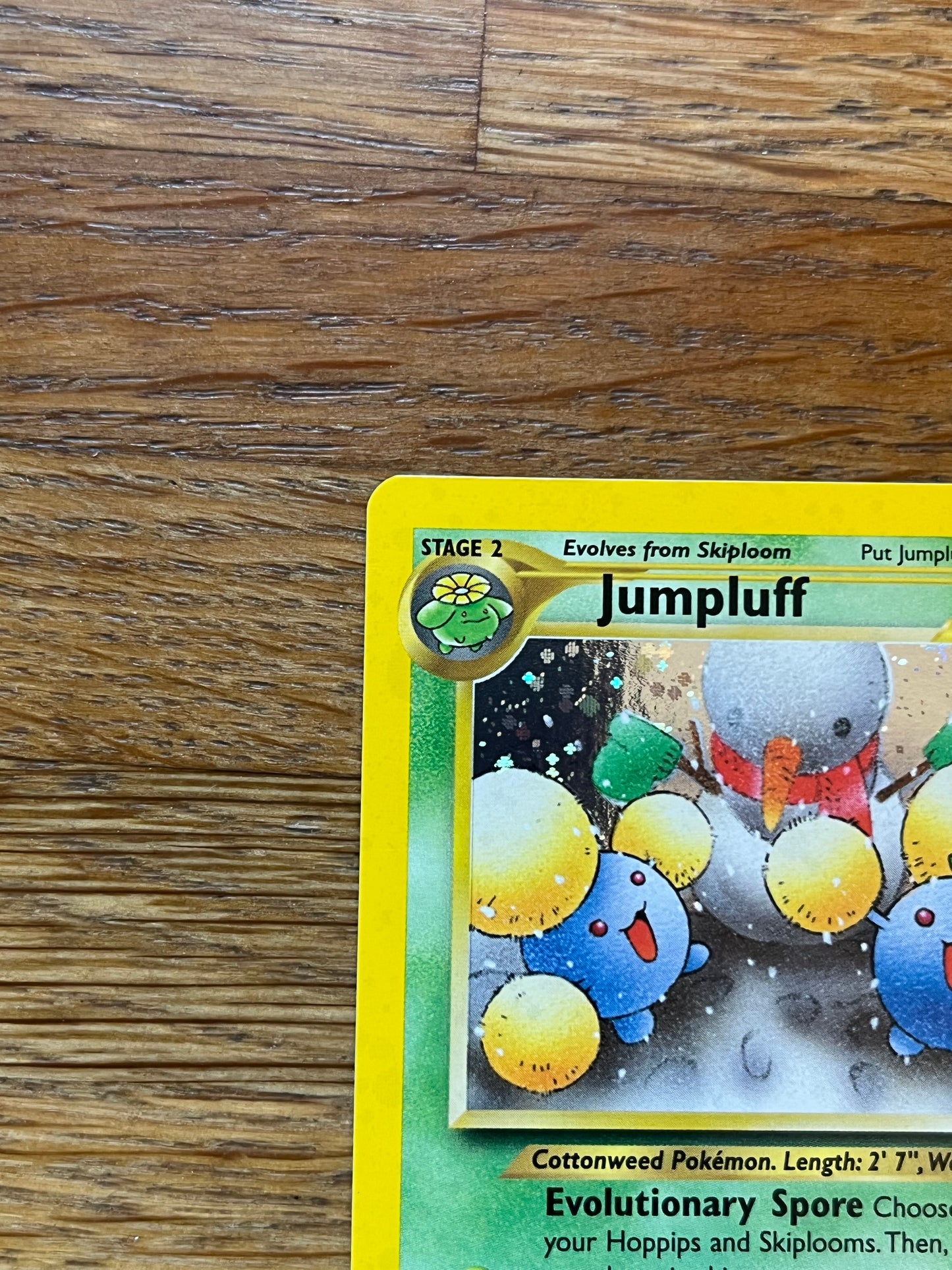 Jumpluff Holo 9/64 Neo Revelations NM Single Pokemon Card