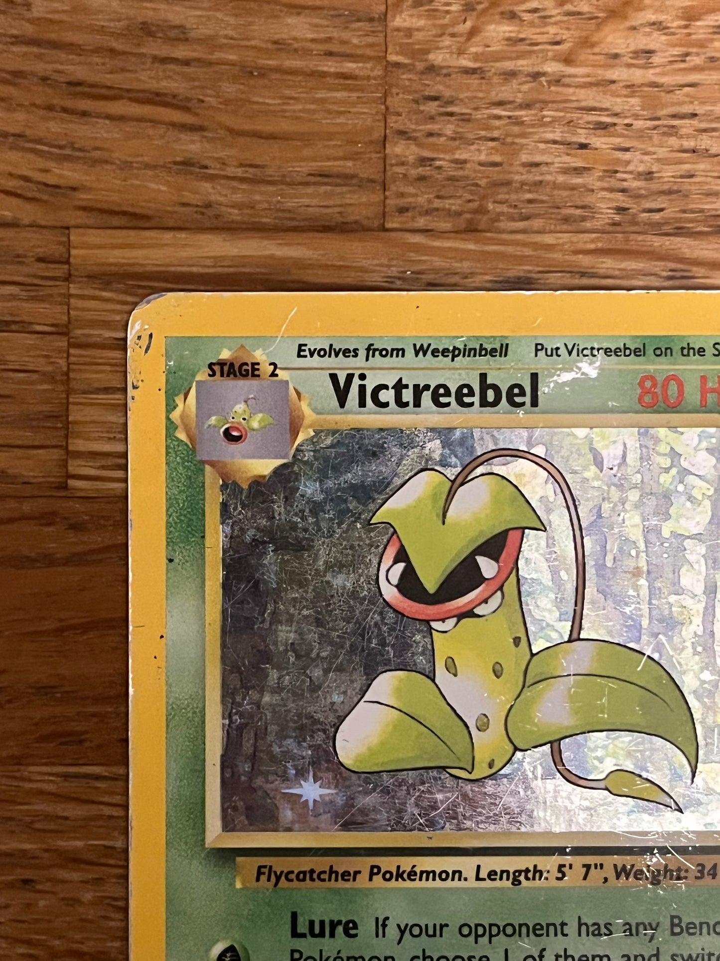 Victreebel 14/64 Holo Jungle HP Single Pokémon Card