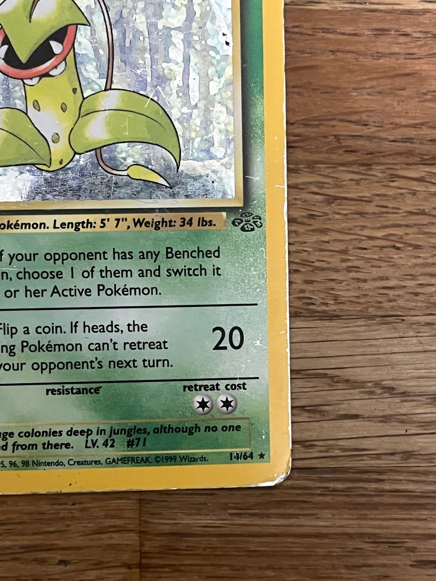 Victreebel 14/64 Holo Jungle HP Single Pokémon Card