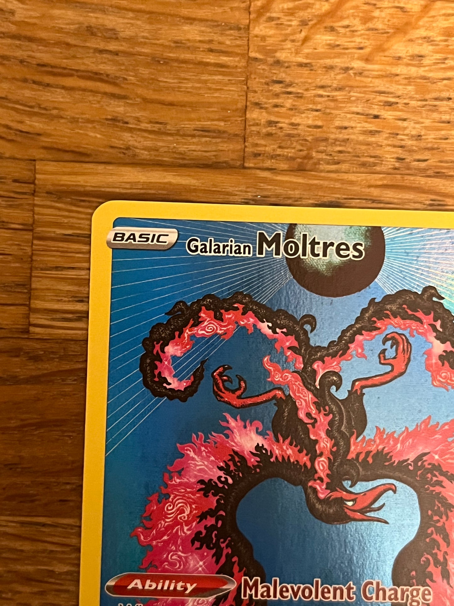 Galarian Moltres SWSH284 Black Star Promo NM Single Pokémon Card