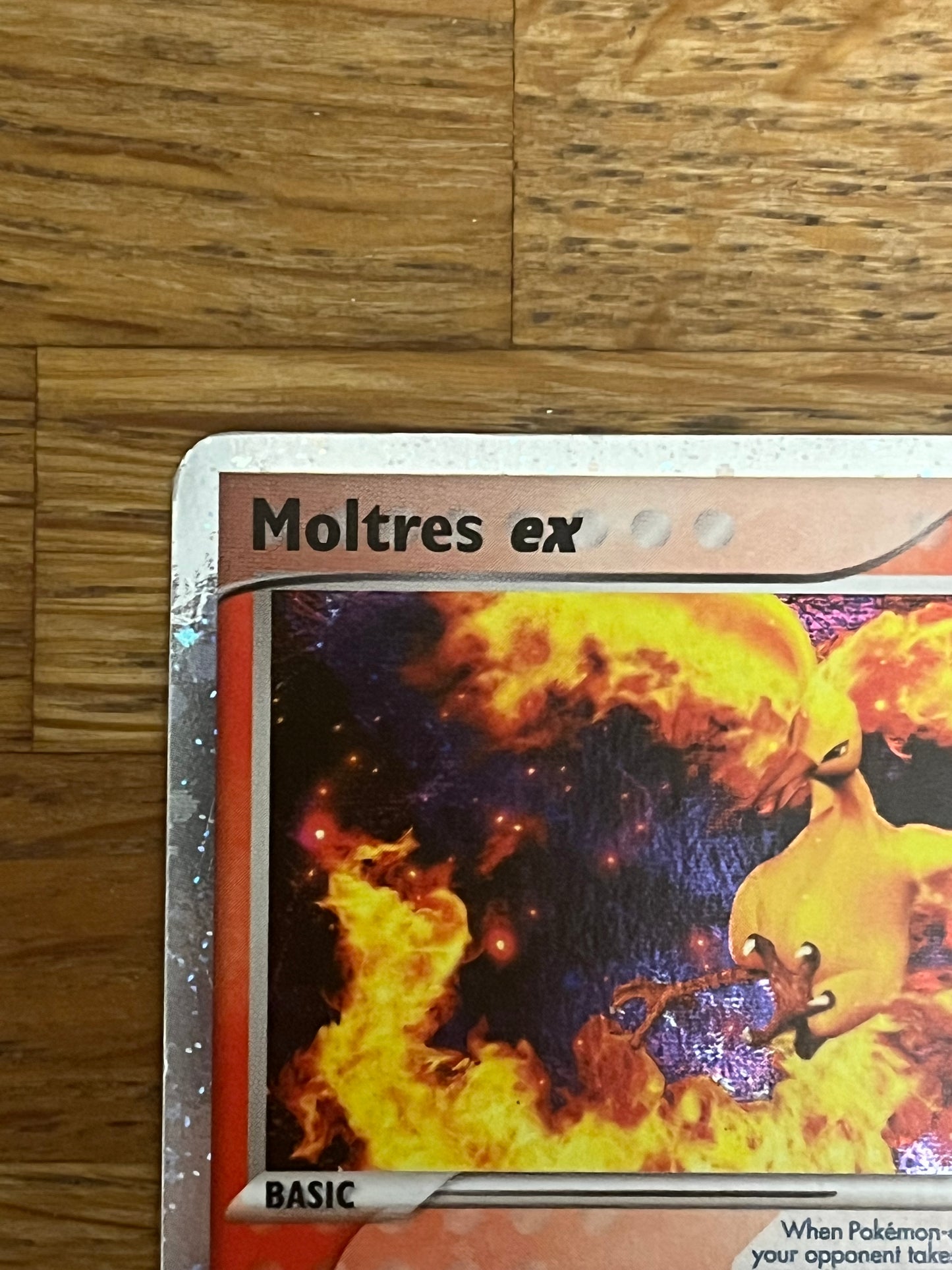 Moltres Ex 031 Black Star Promo NM Single Pokémon Card