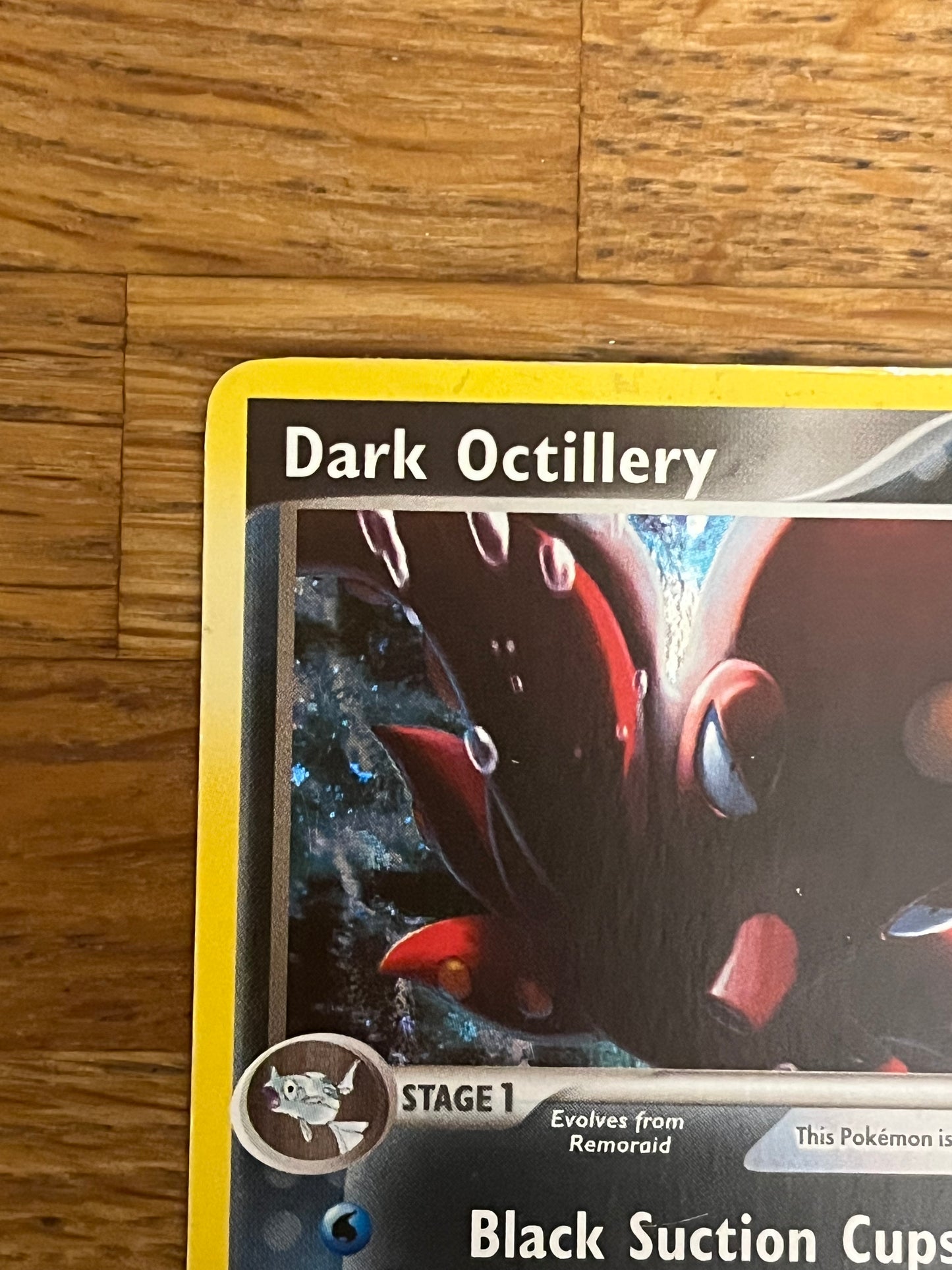 Dark Octillery 8/109 Holo EX Team Rocket Returns NM Single Pokémon Card