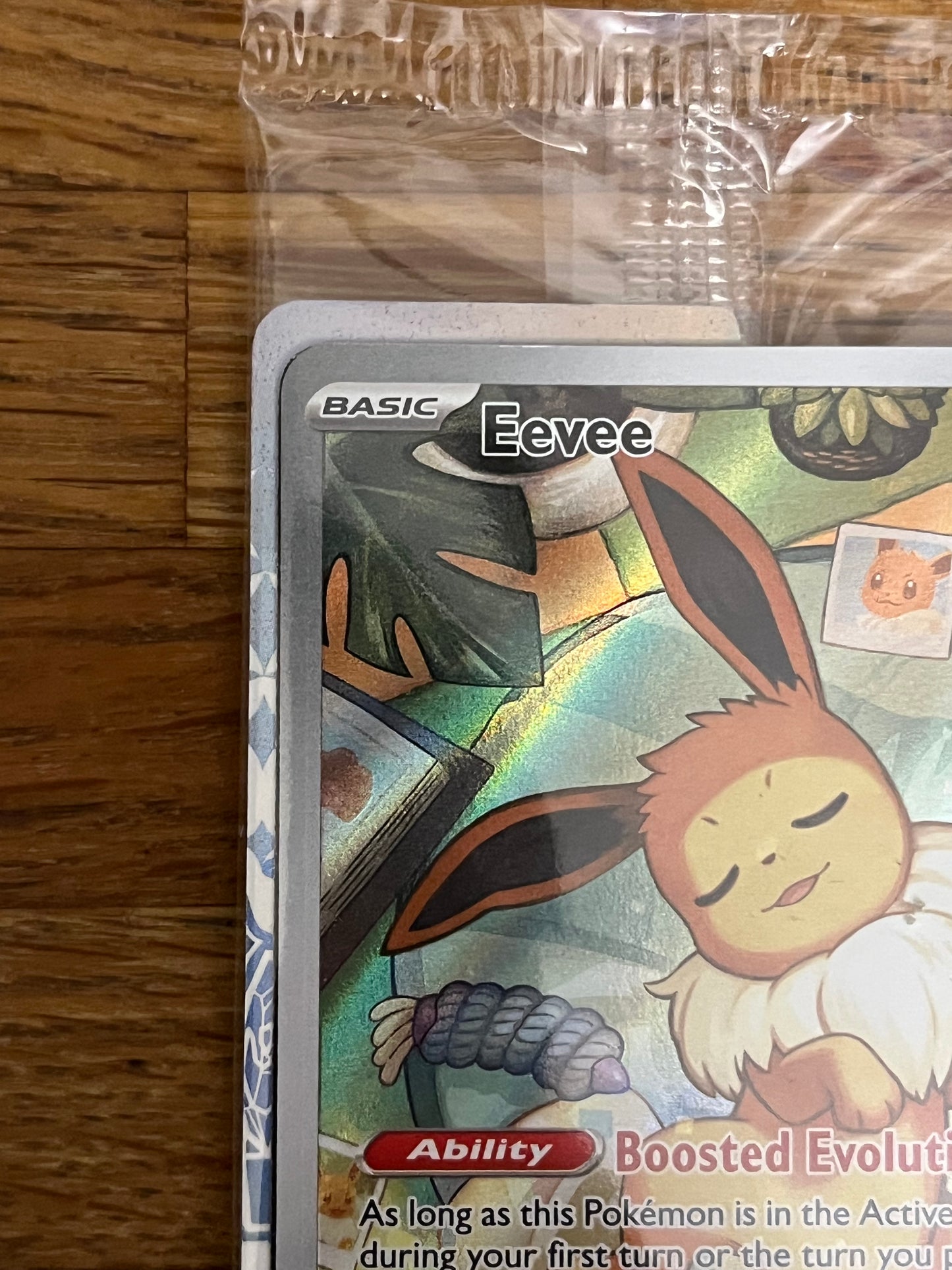 Eevee 173 Black Star Promo Sealed NM Single Pokémon Card