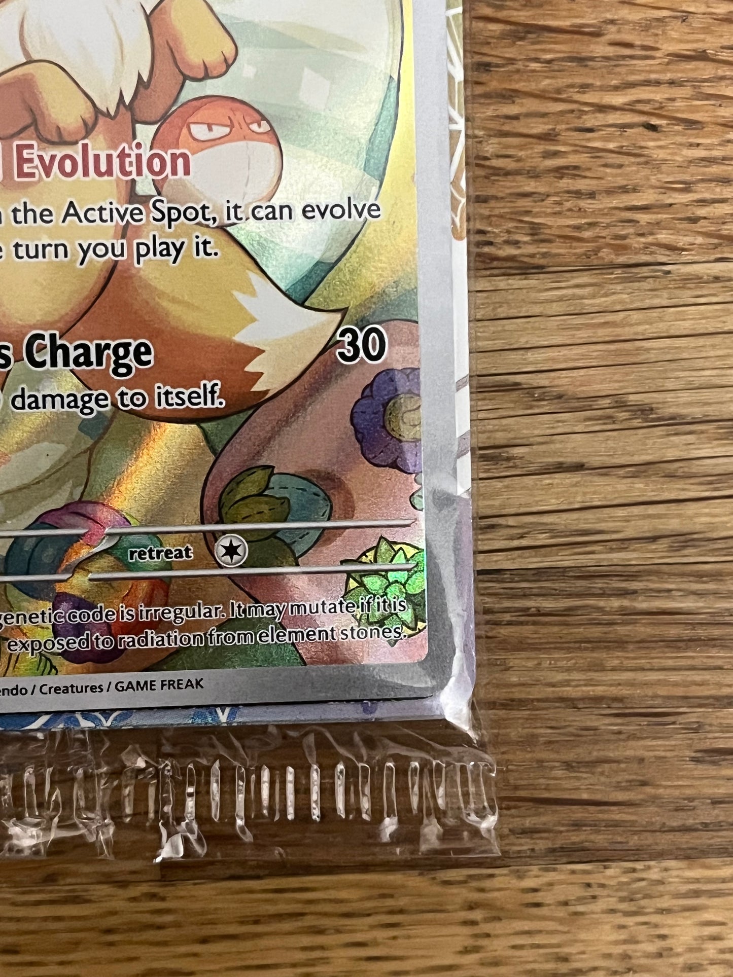Eevee 173 Black Star Promo Sealed NM Single Pokémon Card