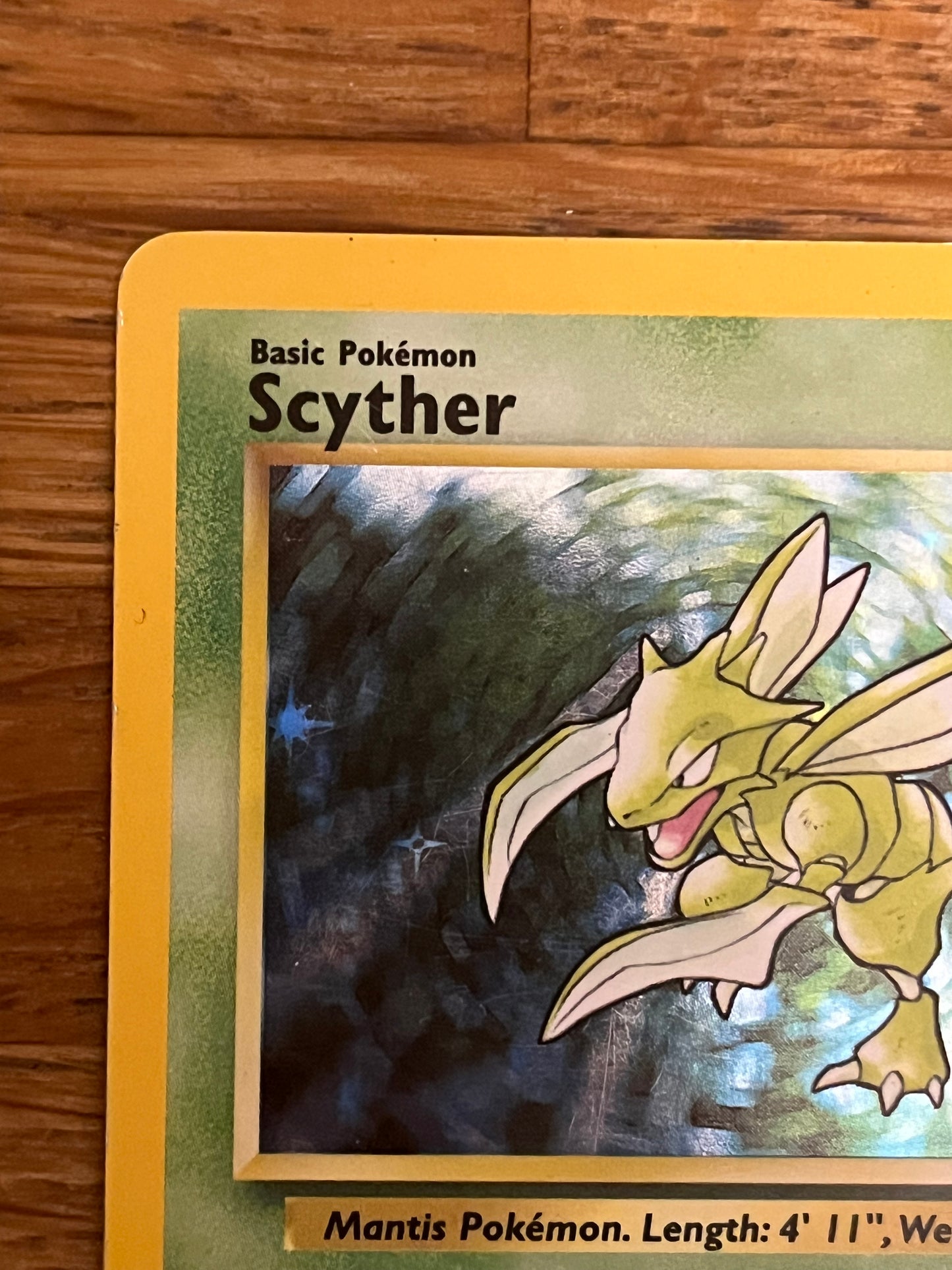 Scyther Holo 10/64 Jungle NM Single Pokémon Card