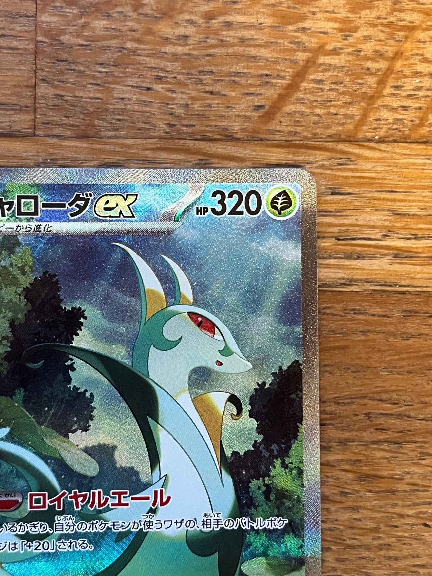 Serperior EX 167/086 Black Bolt Japanese NM Single Pokémon Card