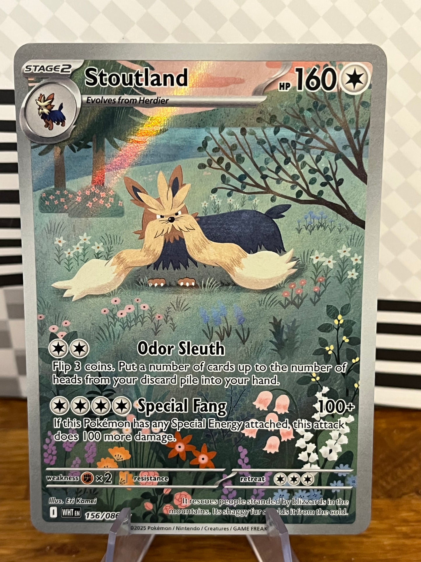 Stoutland 156/086 Illustration Rare White Flare NM Single Pokémon Card