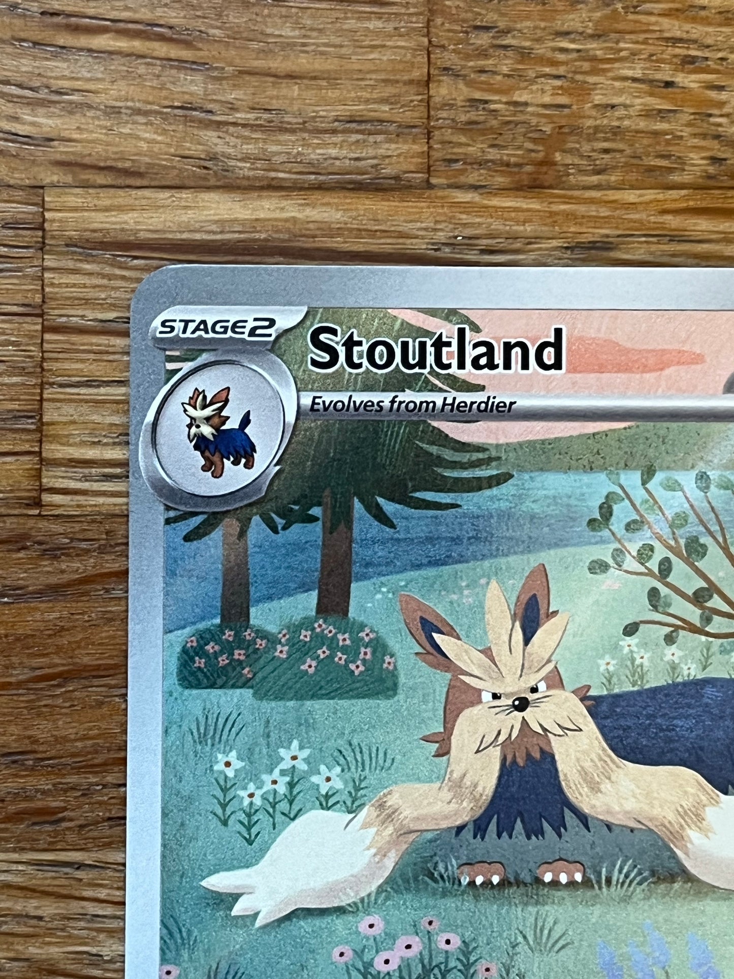 Stoutland 156/086 Illustration Rare White Flare NM Single Pokémon Card