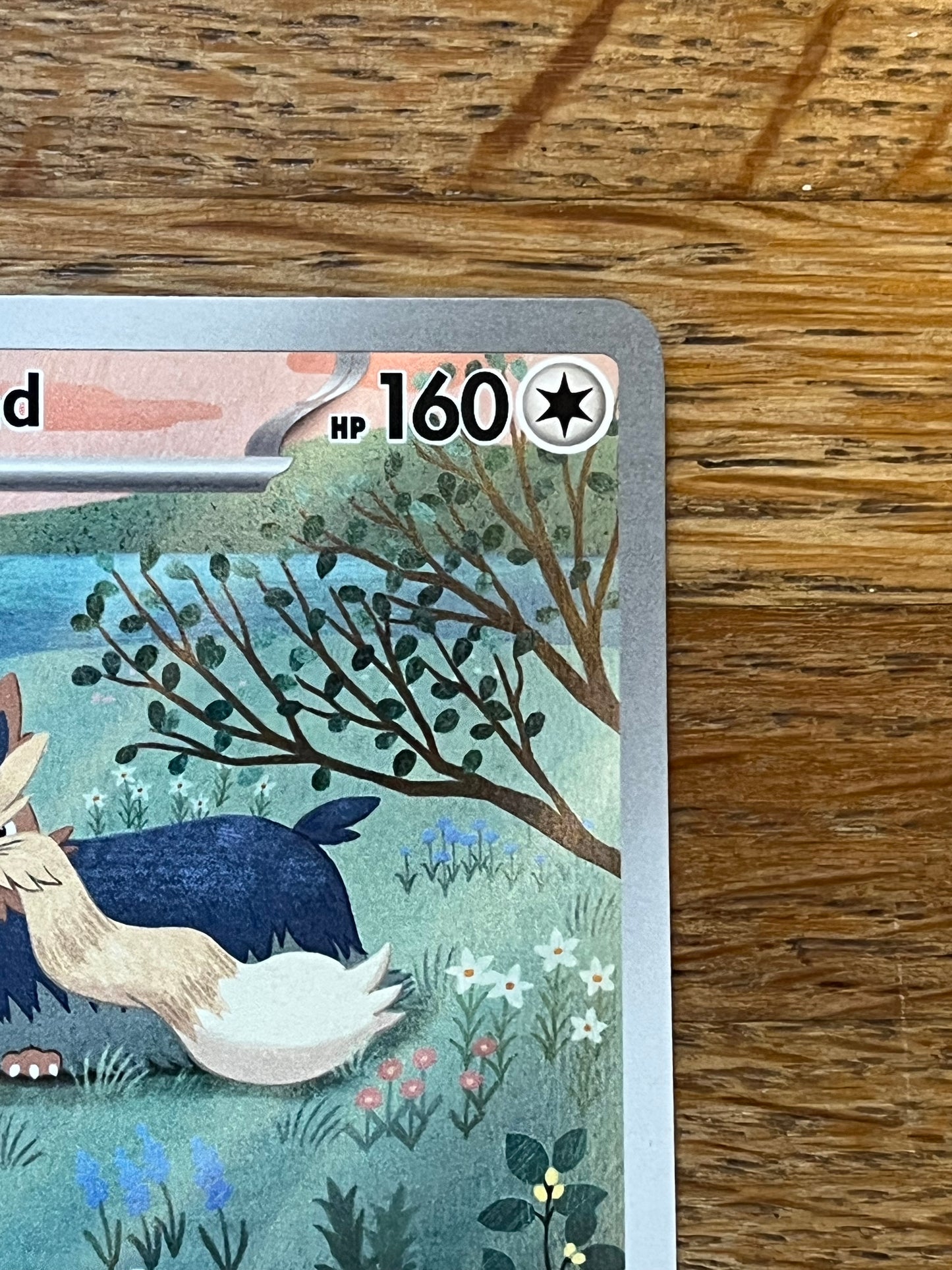 Stoutland 156/086 Illustration Rare White Flare NM Single Pokémon Card