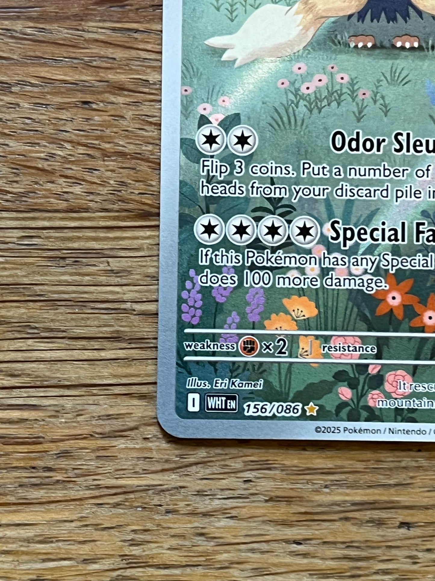 Stoutland 156/086 Illustration Rare White Flare NM Single Pokémon Card