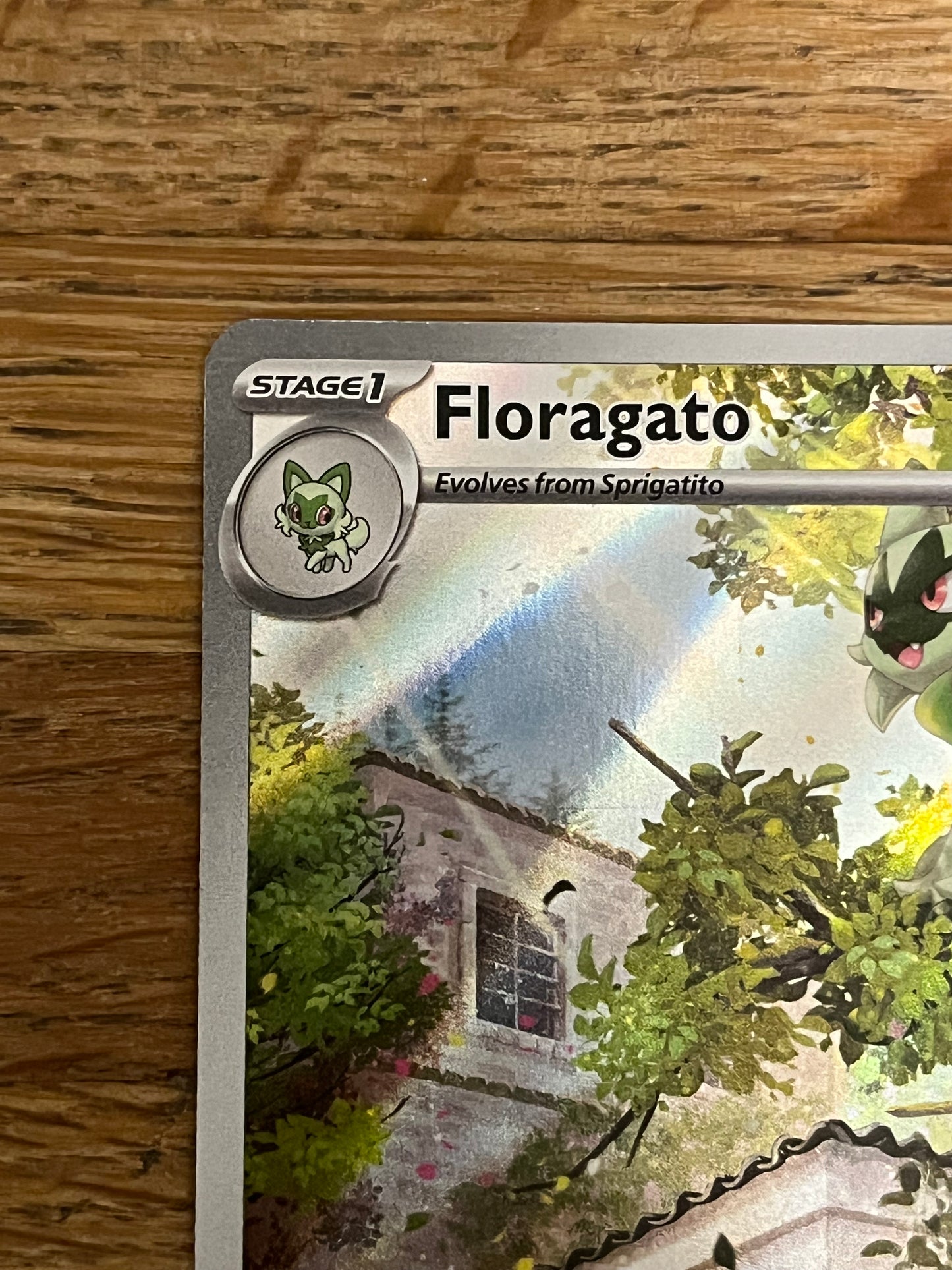 Floragato 197/193 Illustration Rare Paldea Evolved NM Single Pokémon Card