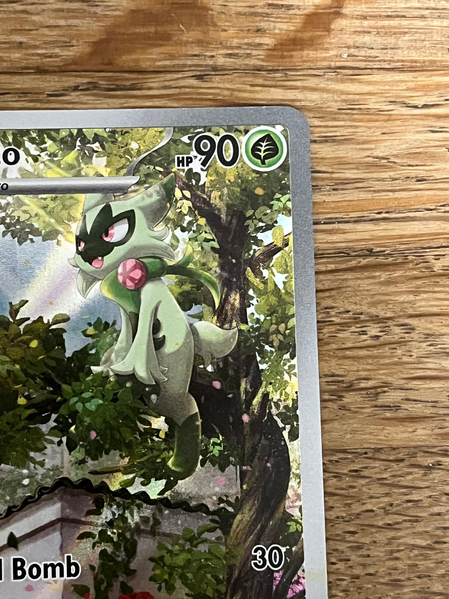 Floragato 197/193 Illustration Rare Paldea Evolved NM Single Pokémon Card