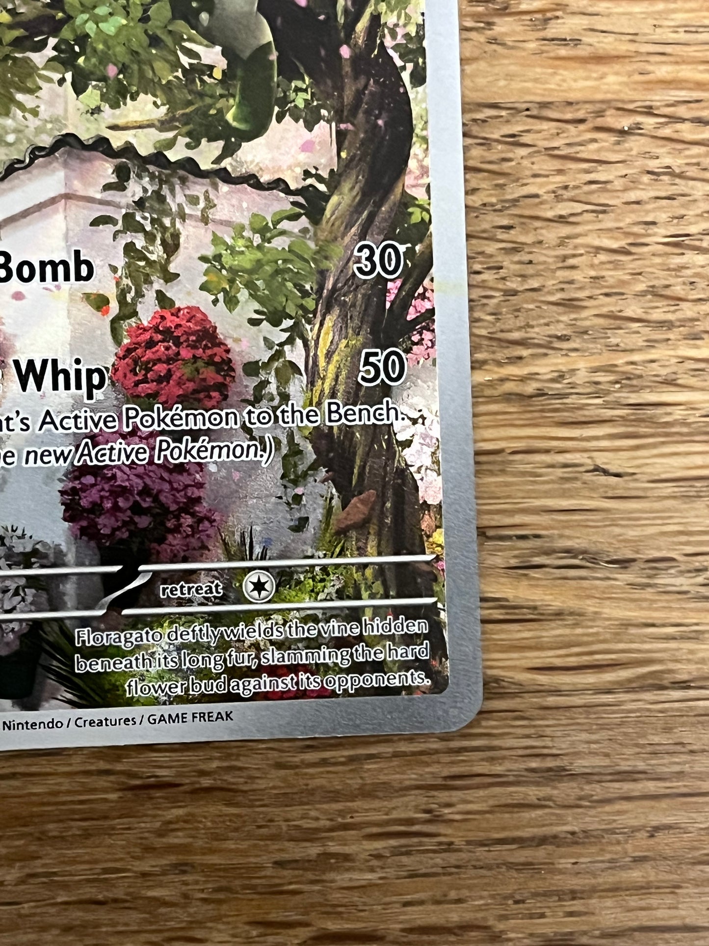 Floragato 197/193 Illustration Rare Paldea Evolved NM Single Pokémon Card